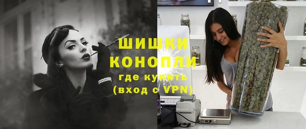 спиды Богданович