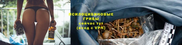 спиды Богданович