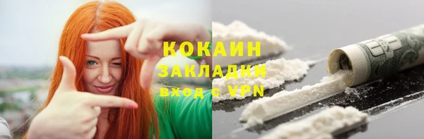 молекула духа Богородицк