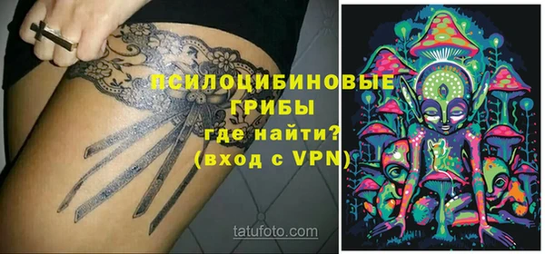 спиды Богданович