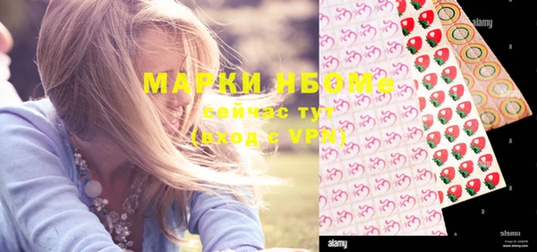 молекула духа Богородицк