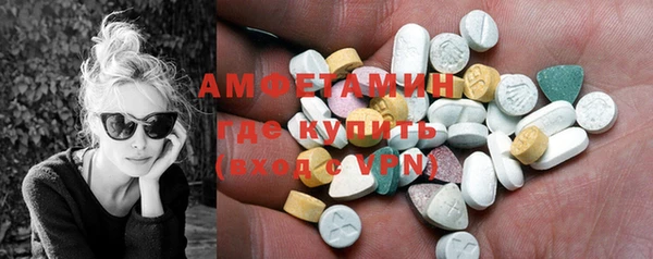 молекула духа Богородицк