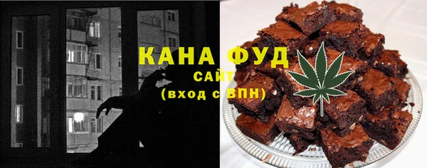 молекула духа Богородицк