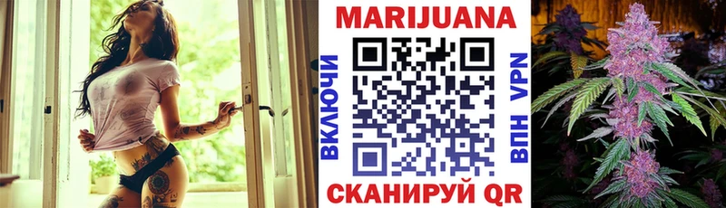 Бошки марихуана Amnesia  Невель 
